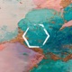 Bloom EP