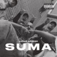 SUMA Single