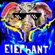 Elephant Single