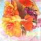 Sweet Courses EP