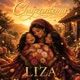 Chryzantemy Single