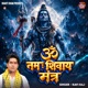 Om Namah Shivay Mantra