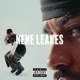 Nene Leakes Sped Up Single