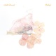 Belief Single