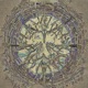 Strange Birds Single