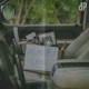 Memory Lane Single