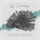 El Catálogo Single