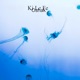 Ki Le Fe feat 199X Single