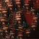 Lament Single