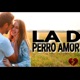Perro Amor Single