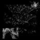 MEANWHILE feat Rexiety Single