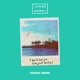 I Don t Love You I m Just Lonely Kokiri Remix Single