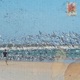 Bird Saga EP