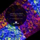 Space Time Tekneek EP