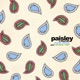 Paisley feat Cactus Van Single