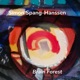 Brain Forest feat Jacob Andersen Marilyn Mazur Ole Theill Mariane Bitran Peter Danstrup Single