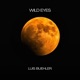 Wild Eyes Single
