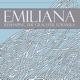 Reshaping the Graceful Formula EP