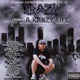It s a Krazy Life
