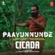Paayunnunde From Cicada Single
