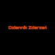 Dziennik Zdarzeń Single
