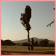 Senza Single
