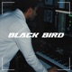 Black Bird Single