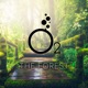 The Forest Single