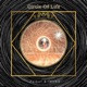 Circle of Life Single