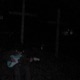 strung out Single