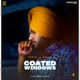 Coated Windows feat Shally Single