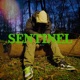 Sentinel Single