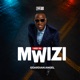Kazi Ya Mwizi Single
