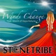 Winds Change feat Storm of Kaya Kotura Single
