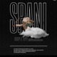 Spani feat Youngboy Sbu Owen Single