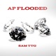 AP Flooded Single