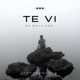 Te Vi Na Multidão Single