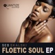 Floetic Soul Single