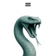 medusa Single