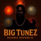 Bhagamu feat BigTunE JMP Bima Single