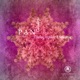 Holographic Universe Single