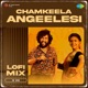Chamkeela Angeelesi From Dasara Lofi Mix Single