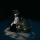 Summer Breeze Single