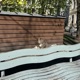 Jazzy Cat Single