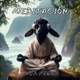 Meditacion Single