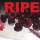 ripe Single