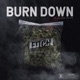 Burn Down feat Oliver Spitts Single