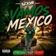 VAMOS MEXICO Single