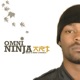 Ninja Art