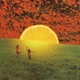 Apricot Single